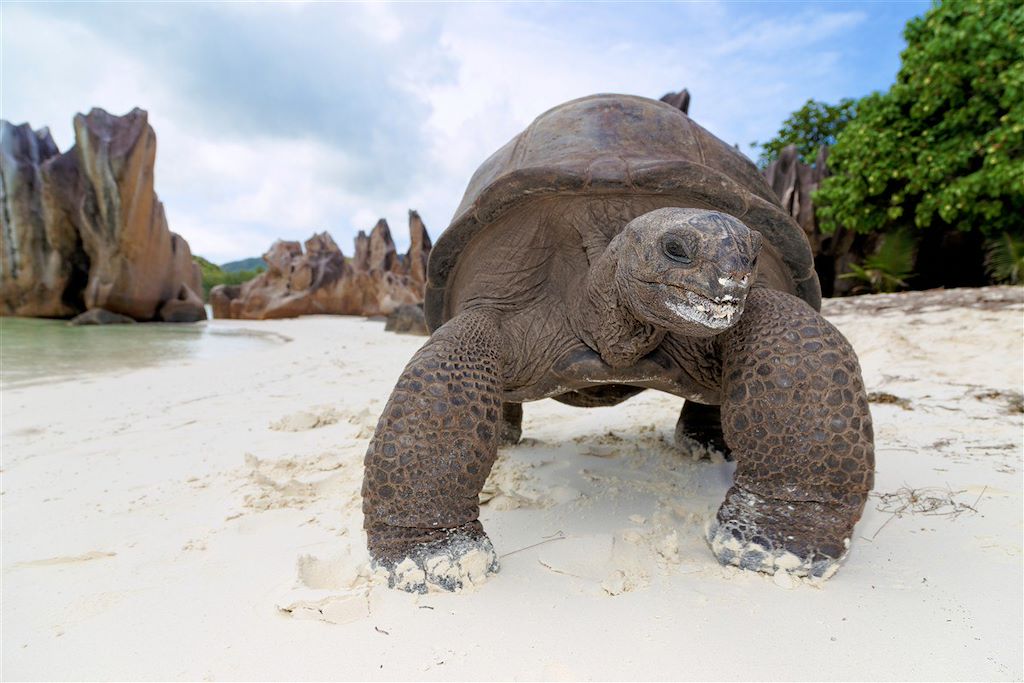 Image Mahé - vélo à la Digue - anse source d'argent - Seychelles kayak - Praslin