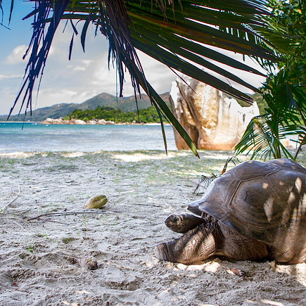 Echappée belle en famille aux Seychelles