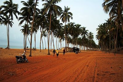 Route le long de l'océan - Bénin