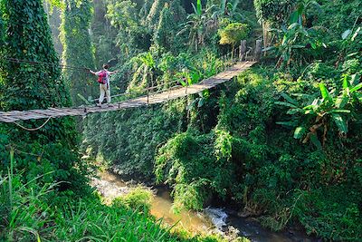 Pont suspendu dans la forêt tropicale du Chiang Mai -Thaïlande