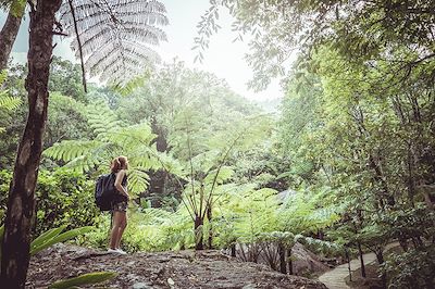 © Last19 / iStock - Chiang Mai - Doi Inthanon - Thaïlande Chiang Mai - Doi Inthanon - Thaïlande