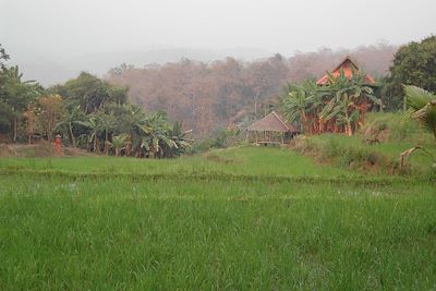 La campagne autour de Chiang Mai