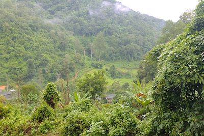 © Marlène Genet - Trek à Chiang Mai - Thaïlande Trek à Chiang Mai - Thaïlande