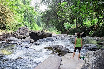 Forêt tropicale - Province de Chiang Maï - Thaïlande