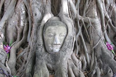 © Marie Joffres - Ayutthaya - Thailande Ayutthaya - Thailande