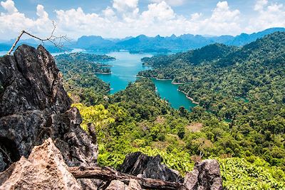 © Lucy Brown / Adobe Stock - Parc national de Khao Sok - Thaïlande Parc national de Khao Sok - Thaïlande