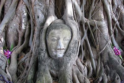 © Marie Joffres - Ayutthaya - Thailande Ayutthaya - Thailande