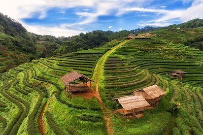 La Thaïlande à vélo, de Chiang Mai à Bangkok
