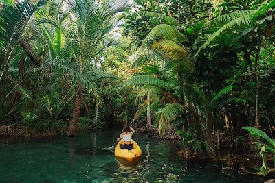 © Oleh_Slobodeniuk / Getty Images - Kayak dans la mangrove - Krabi - Thaïlande Kayak dans la mangrove - Krabi - Thaïlande
