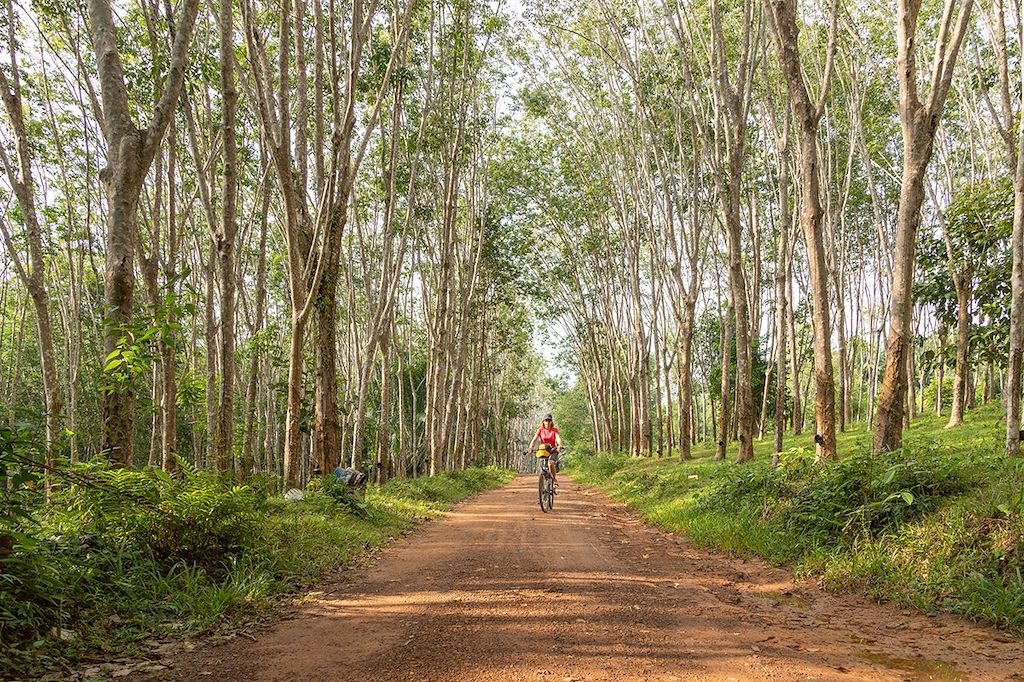 Image Thaïlande à vélo de Bangkok à Surat Thani – Excursion en bateau à Khao Sok – Vélo dans le golf de Th