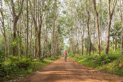 Vélo en Thaïlande 