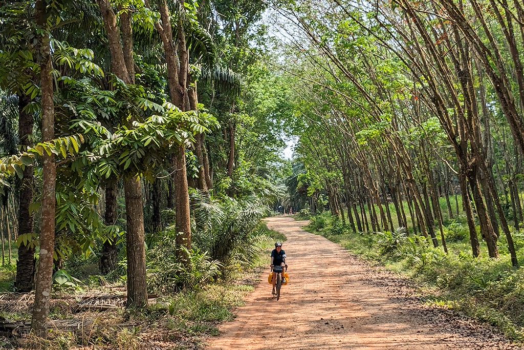 Image Thaïlande à vélo de Bangkok à Surat Thani – Excursion en bateau à Khao Sok – Vélo dans le golf de Th