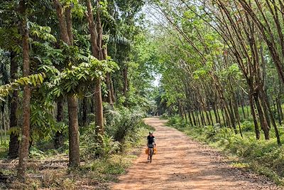 Vélo en Thaïlande 