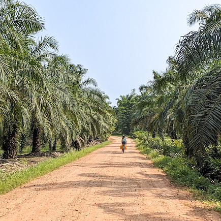 Vélo Thailande