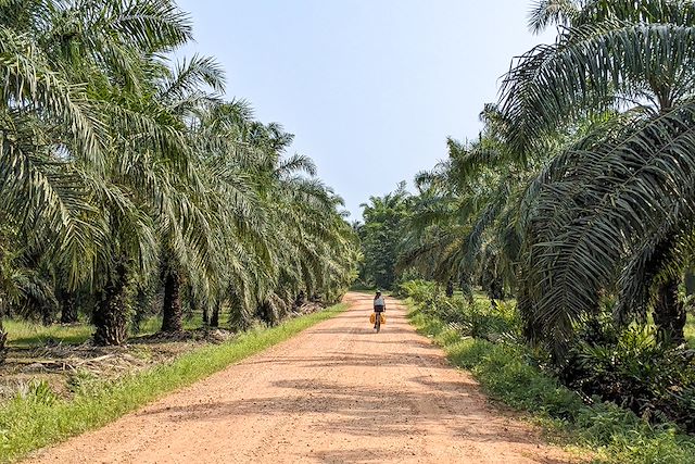 Voyage Bangkok, Khao Sok et les îles du Sud à vélo