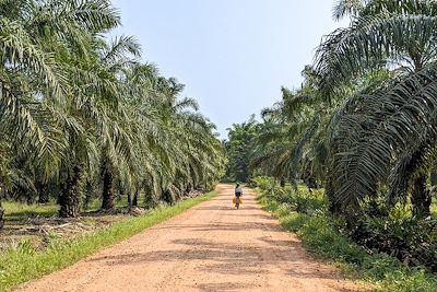 Vélo en Thaïlande