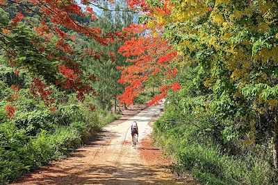 Vélo dans le parc national de Kaeng Krachan - Thaïlande