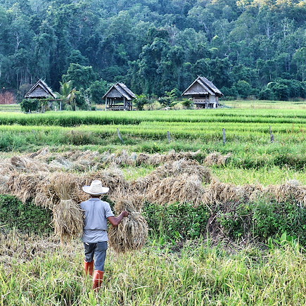 Découverte Thailande
