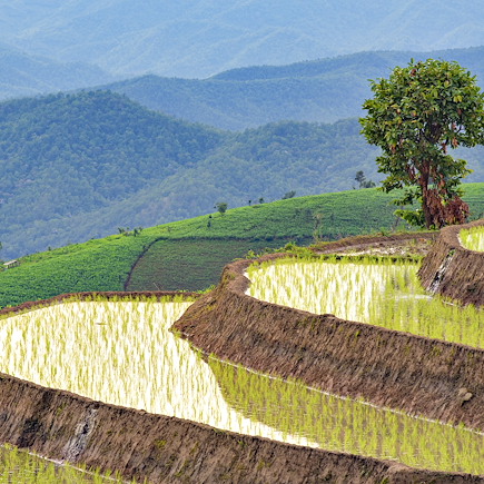Découverte Thailande