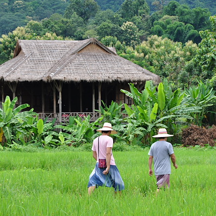Découverte Thailande