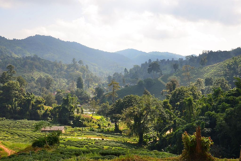 Image Lodges Chiang Mai - Trek triangle d'or - Doi Suthep - Temple blanc Chiang Rai