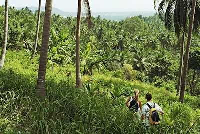 © Justin Pumfrey / Getty Images - Randonnée - Koh Samui - Thaïlande Randonnée - Koh Samui - Thaïlande