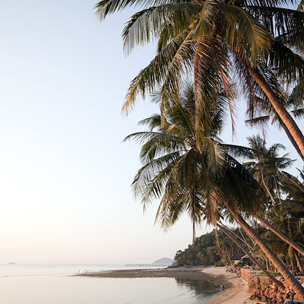 Découverte Thailande