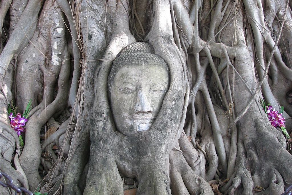 Image Bangkok à vélo - cité de Sukhothai - Parc d'Ayutthaya