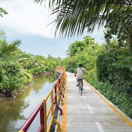 Vélo Thailande