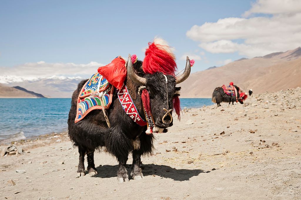 Image Visite Lhassa - Voyage Tibet - Panorama Sur L'Everest