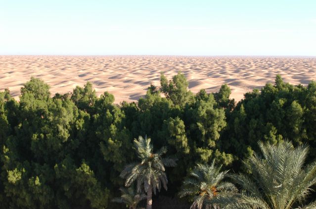 Image Initiation au désert et à la vie berbère