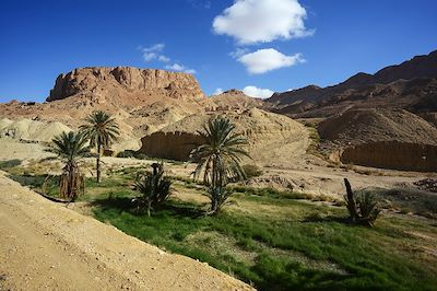 Métlaoui - Gorges de Selja - Tunisie