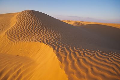 Villages, dunes et chameliers en herbe