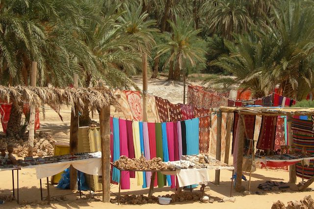 Voyage Villages, dunes et chameliers en herbe