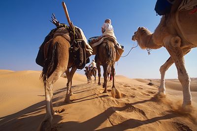 Voyage Pistes sahariennes et sentiers berbères  3