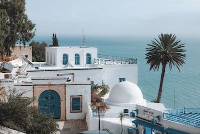 Café des Délices (Café Sidi Chebaane) avec vue sur la mer - Sidi Bou Said -Tunisie