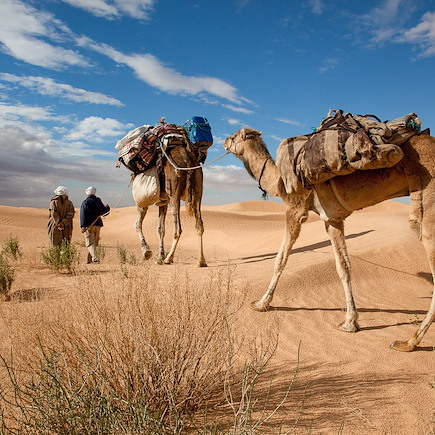 Randonnée avec chameau Tunisie