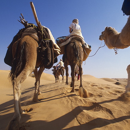 Découverte Tunisie