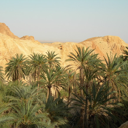 Découverte Tunisie