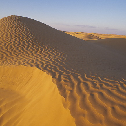 Randonnée avec chameau Tunisie