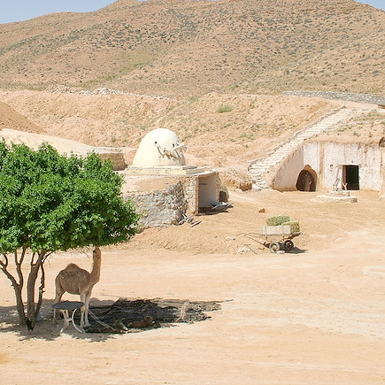 Randonnée avec chameau Tunisie