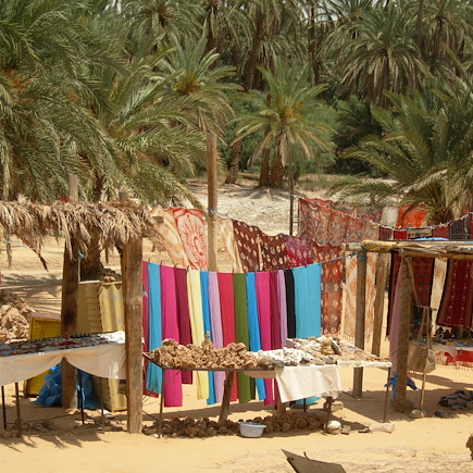 Randonnée avec chameau Tunisie