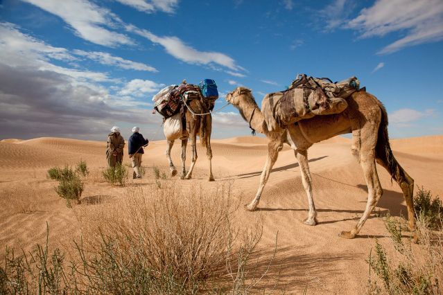 Voyage à thème : Rando et yoga dans le désert tunisien