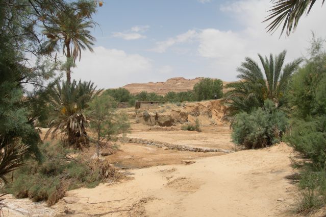 Image Sentiers berbères et pistes sahariennes
