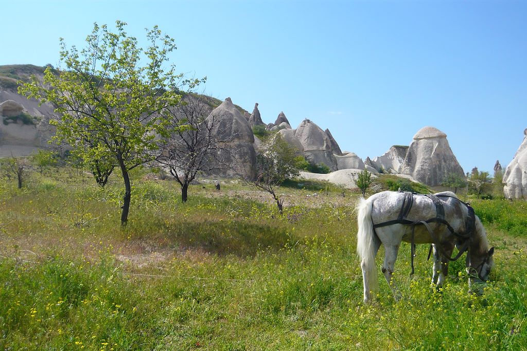 Voyage Cœur de Cappadoce 1