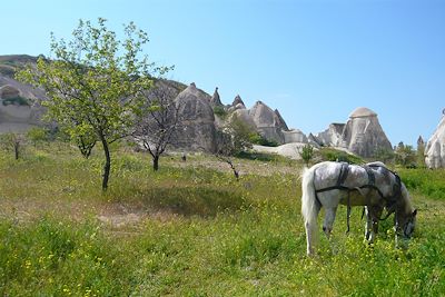 © Pascale Bouchot - Cappadoce - Turquie Cappadoce - Turquie