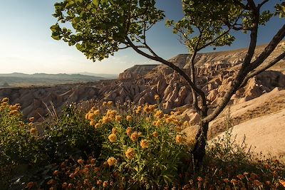 Göreme - Cappadoce - Turquie