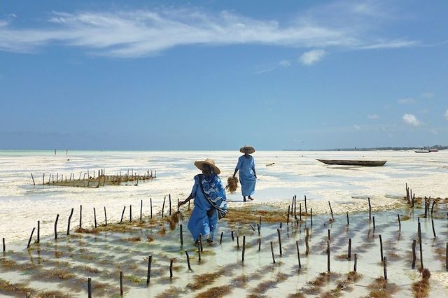 Voyage Safari en Tanzanie et rêveries à Zanzibar 