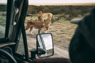Tarangire Tortilis Camp - Parc du Tarangire - Tanzanie