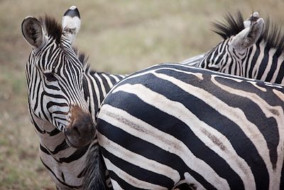 Cratère du Ngorongoro - Tanzanie